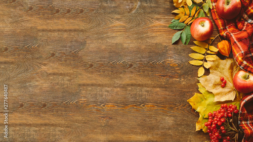Harvest time. Colorful fall leaves, red apples and cranberry arranged on brown wooden background. Copy space.