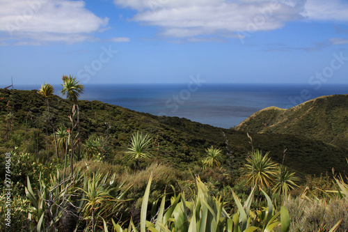 Insel Landschaft photo