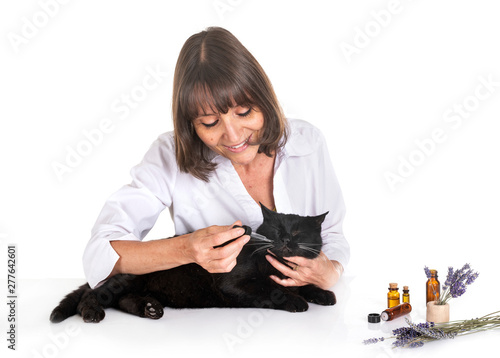 alternative medicine for pet photo