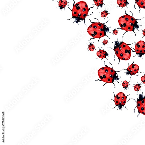  Beautiful red lady bug art illustration