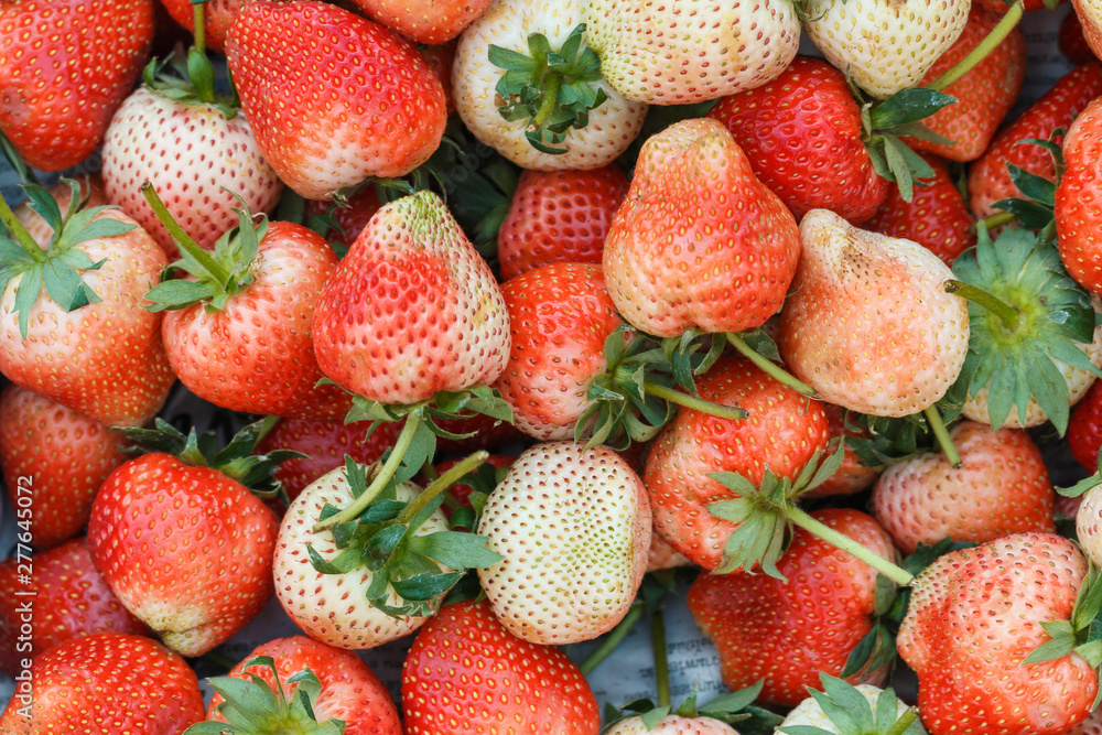 Strawberry,Fresh strawberry, red fruit. Strawberry,Fresh strawberry, red fruit.