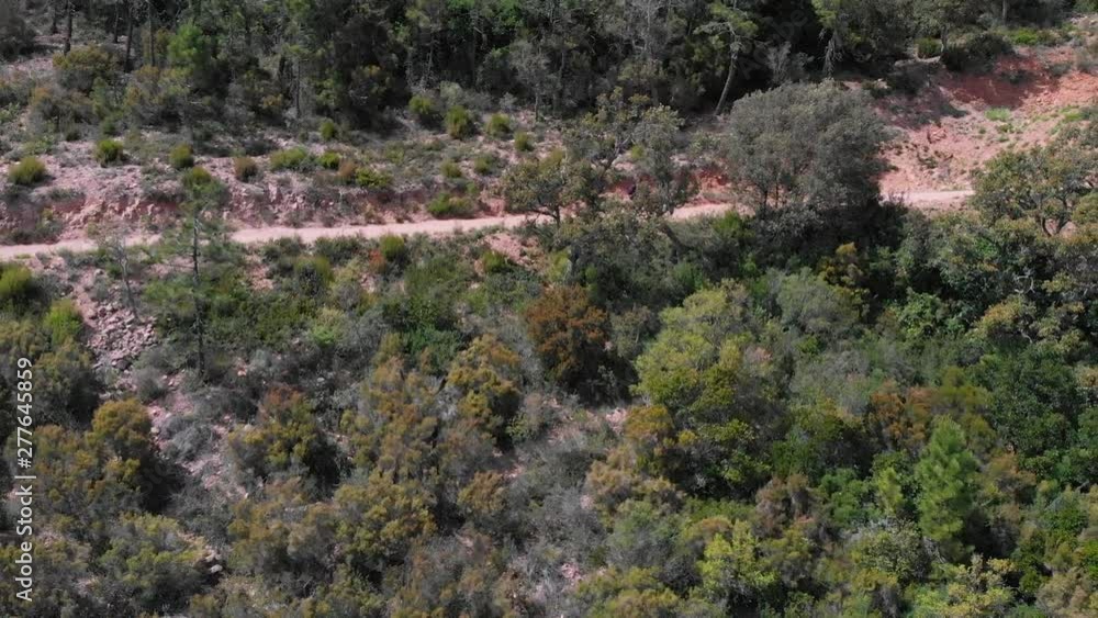 Aerial side view of man riding bike on mountain road through forest. Aerial side view of man riding bike on mountain road through forest.