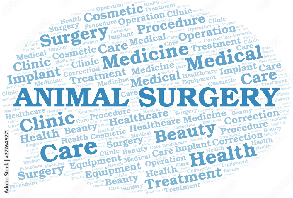 Fototapeta premium Animal Surgery word cloud vector made with text only.