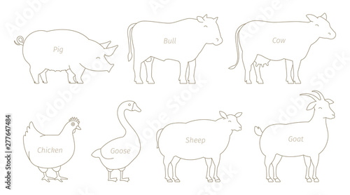 Farm Animal line set. Husbandry production. Cow and bull, duck and chicken. Sheep goat and pig. Outline contour line vector illustration.