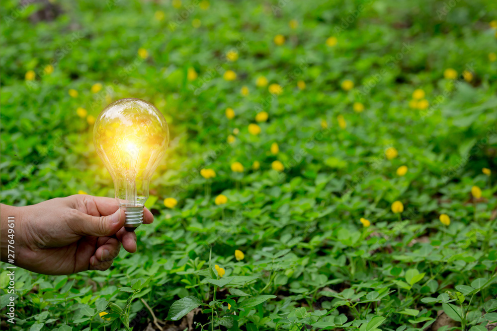 light bulb in hand on green background