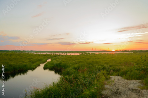 Sunset over the sedge lake in summer