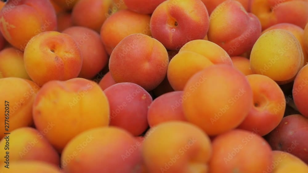 group of freshly picked fresh apricots. Fruit, nature, health group of freshly picked fresh apricots. Fruit, nature, health