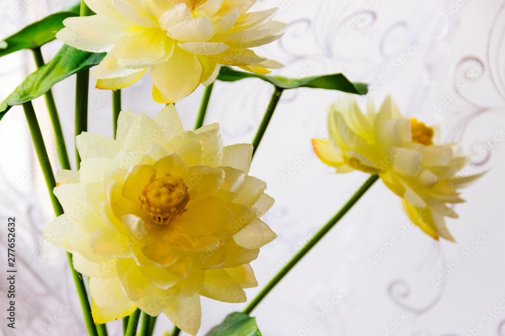 white lotus or water lily in artificial white lotus or water lily in artificial