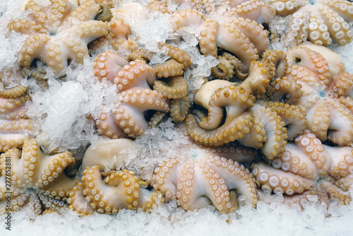Fresh octopus on ice at a fish market in Sydney, Australia