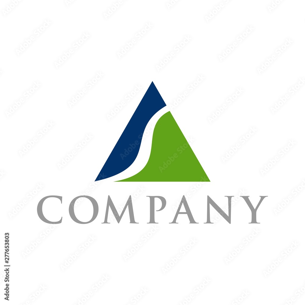 Fototapeta premium triangle logo concept