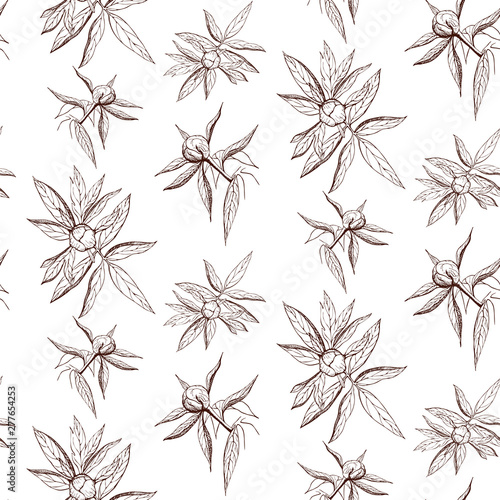 seamless ink peony flower pattern on white backdrop. Engraved vintage peony wallpaper. elegant black and white peony illustration. Vector pattern of free hand outline peony flowers, buds and leaves
