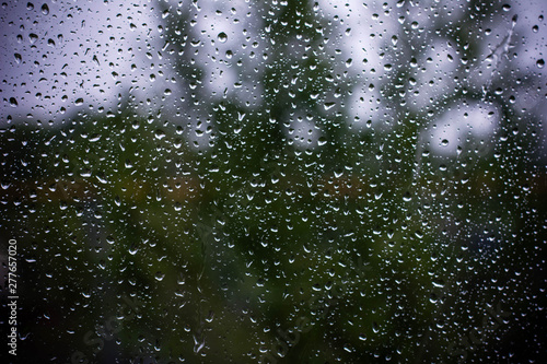 raindrops on the window