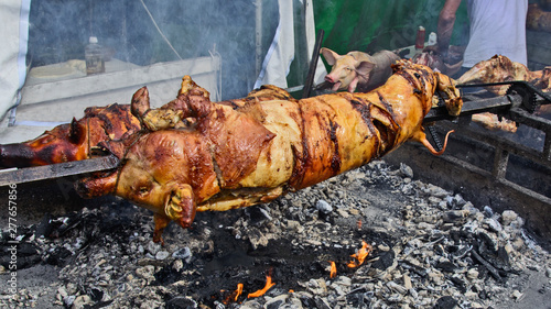 Roasting of young piglets on the grill and fire