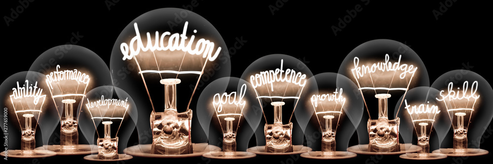 Light Bulbs Concept - obrazy, fototapety, plakaty 