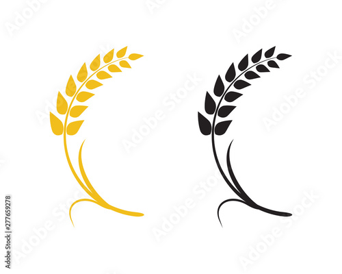 Agriculture wheat Logo Template vector icon design 