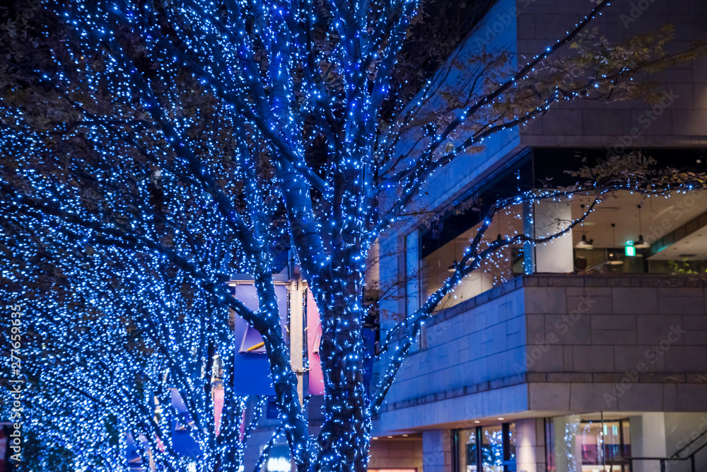 Obraz premium 六本木けやき坂のクリスマスイルミネーション