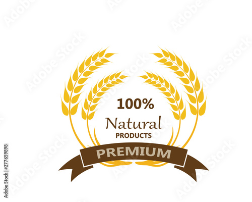 Agriculture wheat Logo Template vector icon