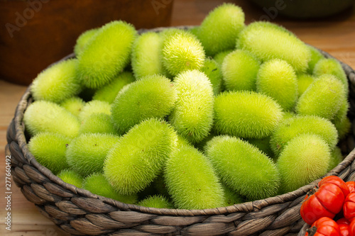Φωτογραφία Cucumis dipsaceus