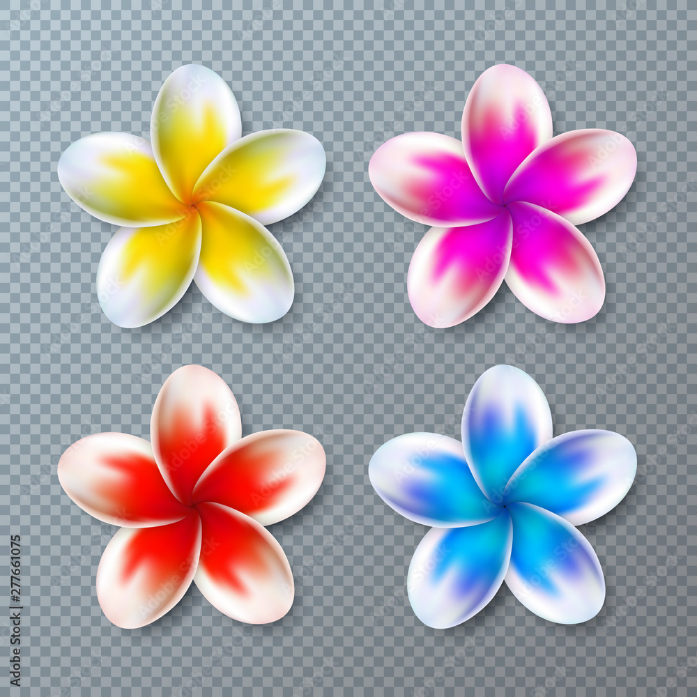 Naklejka premium Vector Illustration with Colorful Plumeria Flower Collection Isolated on Transparent Background. Vector Holiday Design Elemets with Hawaiian Tropical Flowers Set for Banner, Flyer, Invitation