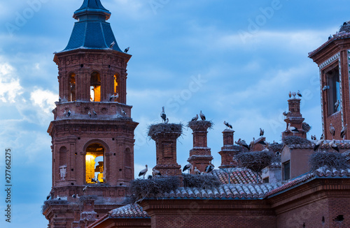 White stork colony, Alfaro, La Rioja, Spain, Europe photo