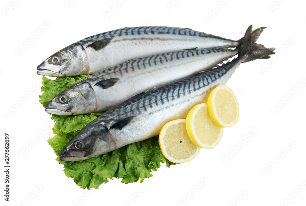 Fresh mackerel fish with salad leaves and lemon slices isolated Fresh mackerel fish with salad leaves and lemon slices isolated