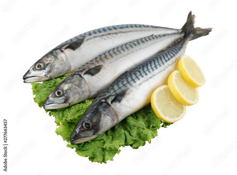 Fresh mackerel fish with greens and lemon isolated Fresh mackerel fish with greens and lemon isolated