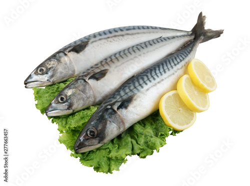 Fresh mackerel fish with greens and lemon isolated
