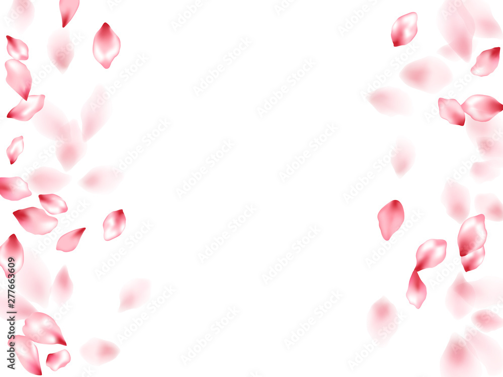 Pink sakura flower flying petals isolated on white vector background.