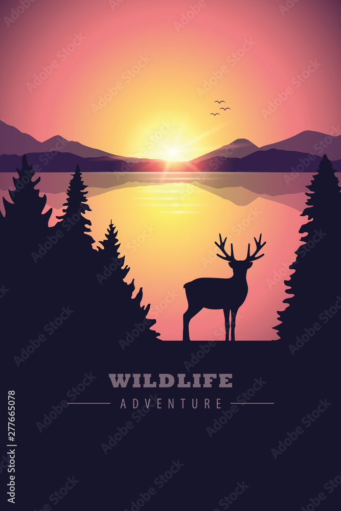 wildlife adventure elk in the wilderness by the lake at sunset vector illustration EPS10 wildlife adventure elk in the wilderness by the lake at sunset vector illustration EPS10