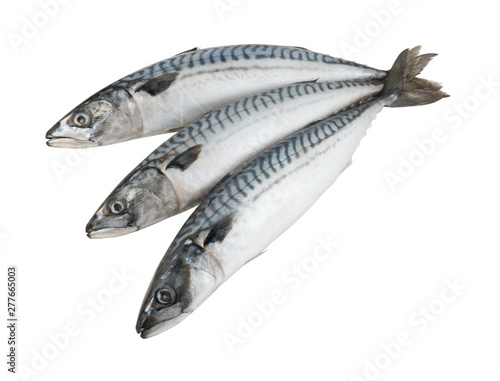 Three fresh mackerel fish isolated on the white background