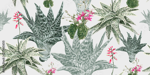 Aloe and cacti. Floral seamless pattern with blooming plants.