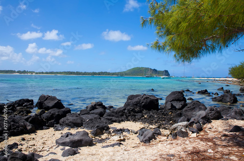 Mauritius. Tropical plants at the stony sea edge