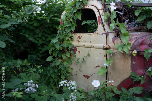 An old truck overgrown by plants