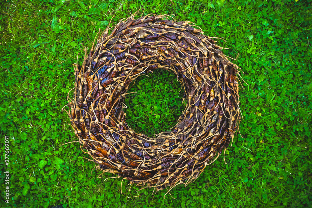 The chilli ring in the garden The chilli ring in the garden