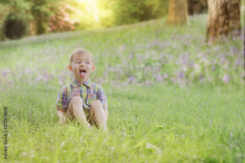 boy three years old sitting in the grass on a green meadow and shows his tongue boy three years old sitting in the grass on a green meadow and shows his tongue