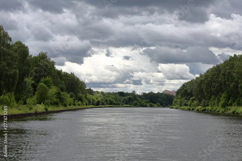 Bright green deciduous forest on the banks of the summer river