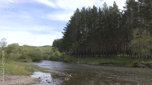 Landscape with a small mountain river surrounded by pine forest in summer. Russia, Abzakovo. photo