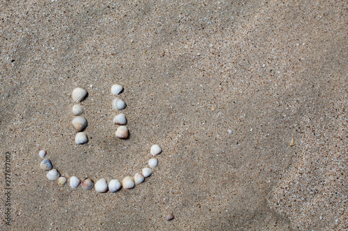 Smile figure laid out on the sand from the shells. Close-up. Copy space. There is a place for text. The concept of summer.