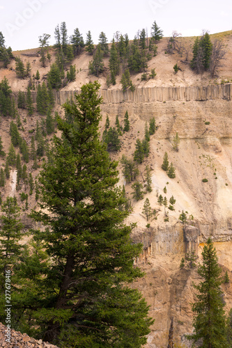 landscape and trees at Towr Fall in Lamar Valley in Yellowstone National Park in Wyoming  photo