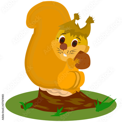 Redhead squirrel holds a nut in its paws, and sits on a stump in the woods, a character on a white background