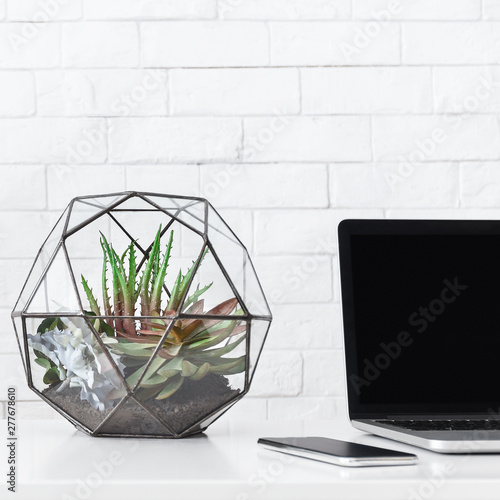 Desk with laptop and house plants at white brick wall background, copy space