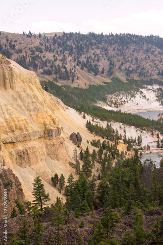 landscape and trees at Towr Fall in Lamar Valley in Yellowstone National Park in Wyoming  photo