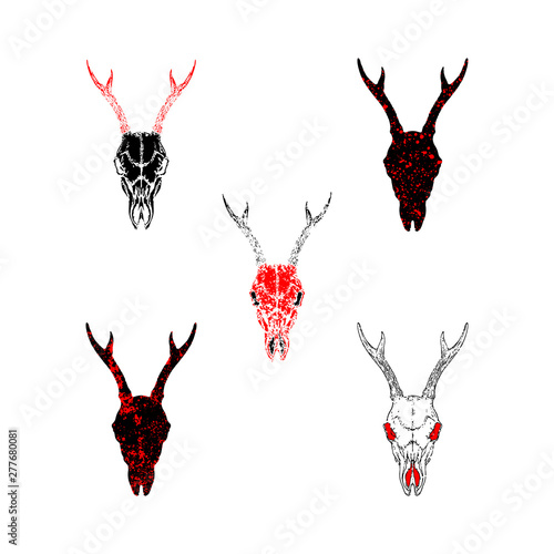 Vector set of hand drawn skulls roe deer with grunge elements in different variants on a white background.