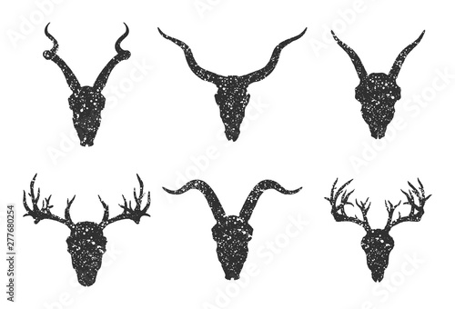 Vector set of six hand drawn skulls of horned animals:  antelopes, deer and goats on white background.