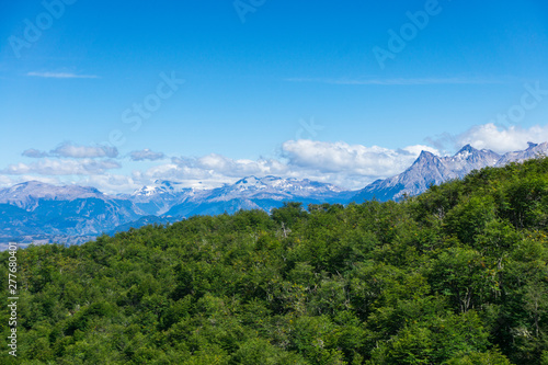 La monta  a versus el bosque de la Patagonia