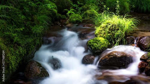 新緑の渓流タイムラプス