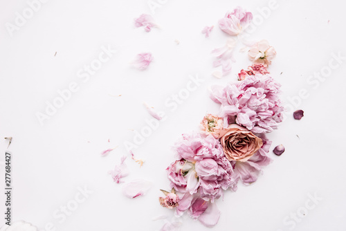 Pink roses and peonies with its petals on the white background, minimalistic view