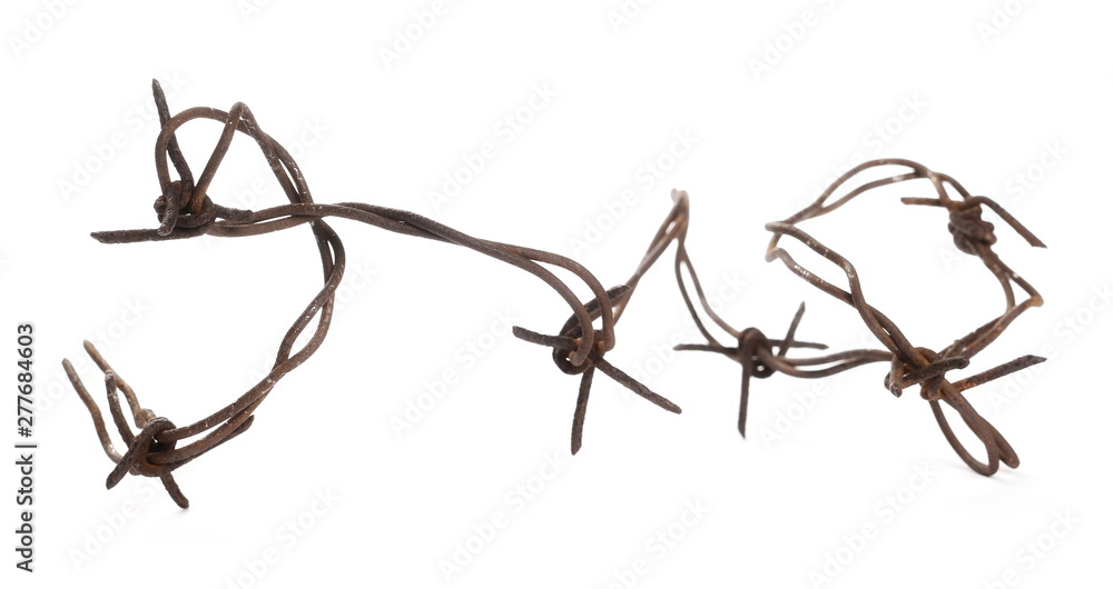 Old rusty security barbed wire fence isolated on white background and  texture Stock Photo | Adobe Stock
