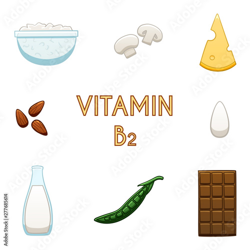 Products containing vitamin B2. Cottage cheese, champignon, cheese, almonds, egg, milk, peas, chocolate. White background, vector.
