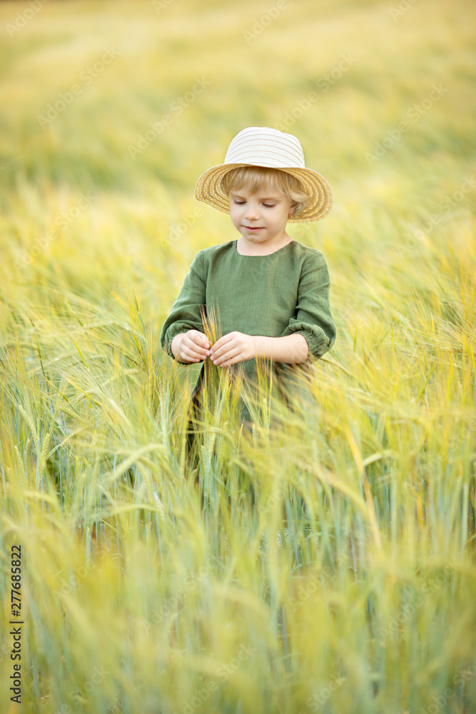 Happy girl walking in golden wheat, enjoying the life in the field. Nature beauty and field of wheat. Family outdoor lifestyle. Freedom concept. Cute little girl in summer field Happy girl walking in golden wheat, enjoying the life in the field. Nature beauty and field of wheat. Family outdoor lifestyle. Freedom concept. Cute little girl in summer field